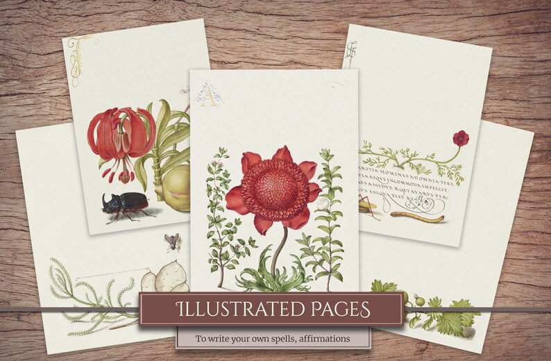 K&ouml;nnte beinhalten: F&uuml;nf leere druckbare Seiten mit handgezeichneten Illustrationen von Blumen, Insekten und botanischen Elementen. Die Seiten sind zum Schreiben von Zauberspr&uuml;chen, Affirmationen oder anderen pers&ouml;nlichen Notizen gedacht. Der Text unten lautet "Illustrierte Seiten Zum Schreiben eigener Zauber, Affirmationen".