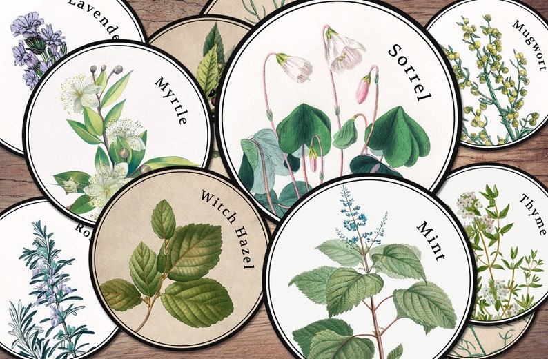 Printable Herb Labels PNG &amp; PDF Sheets Green Witch - Etsy