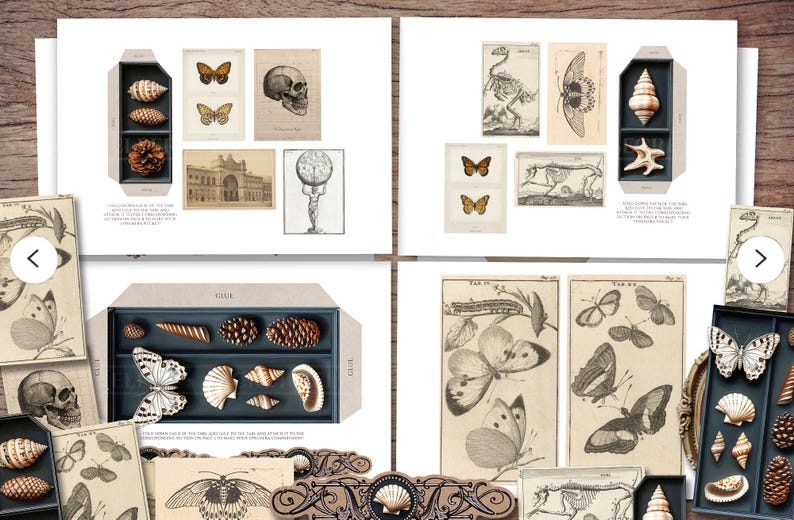 May include: A collection of vintage-style prints and decorative boxes. The prints feature butterflies, a skull, and architectural drawings. The boxes contain seashells, pinecones, and butterfly replicas. The color palette includes beige, brown, and white.