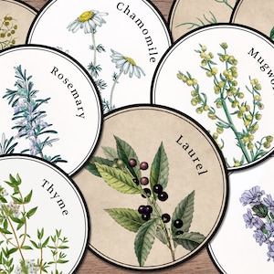 Printable Herb Labels (PNG &amp; PDF Sheets), Green Witch Ephemera ...