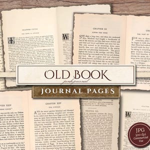 Old Book Pages Set: From Antique Classic Novels, Neutral Background Paper for Junk Journaling, (Digital Download in JPG)
