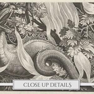 May include: A black and white engraving of a dragon with its head turned to the side and mouth open. The dragon is surrounded by foliage and vines.