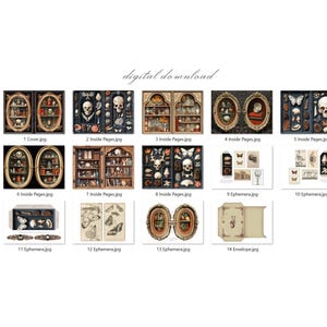 May include: A digital download graphic featuring various illustrations. The images include cabinets with skulls and curiosities, butterfly and insect ephemera, and an envelope. The text "digital download" is present.