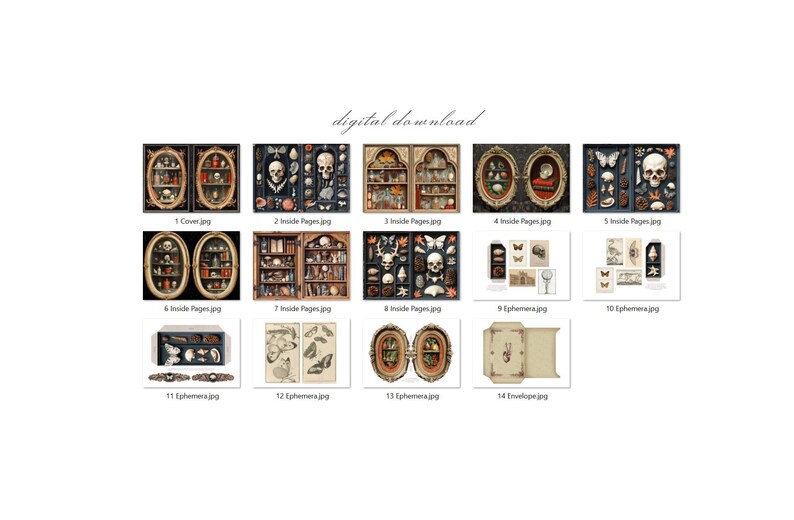 May include: A digital download graphic featuring various illustrations. The images include cabinets with skulls and curiosities, butterfly and insect ephemera, and an envelope. The text "digital download" is present.