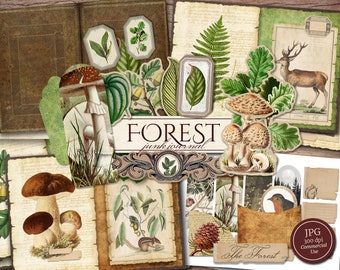 Kit de journal indésirable forestier (pages JPG imprimables avec éphémères, couverture, étiquettes, marque-page), feuille des bois, papier numérique botanique, téléchargement numérique