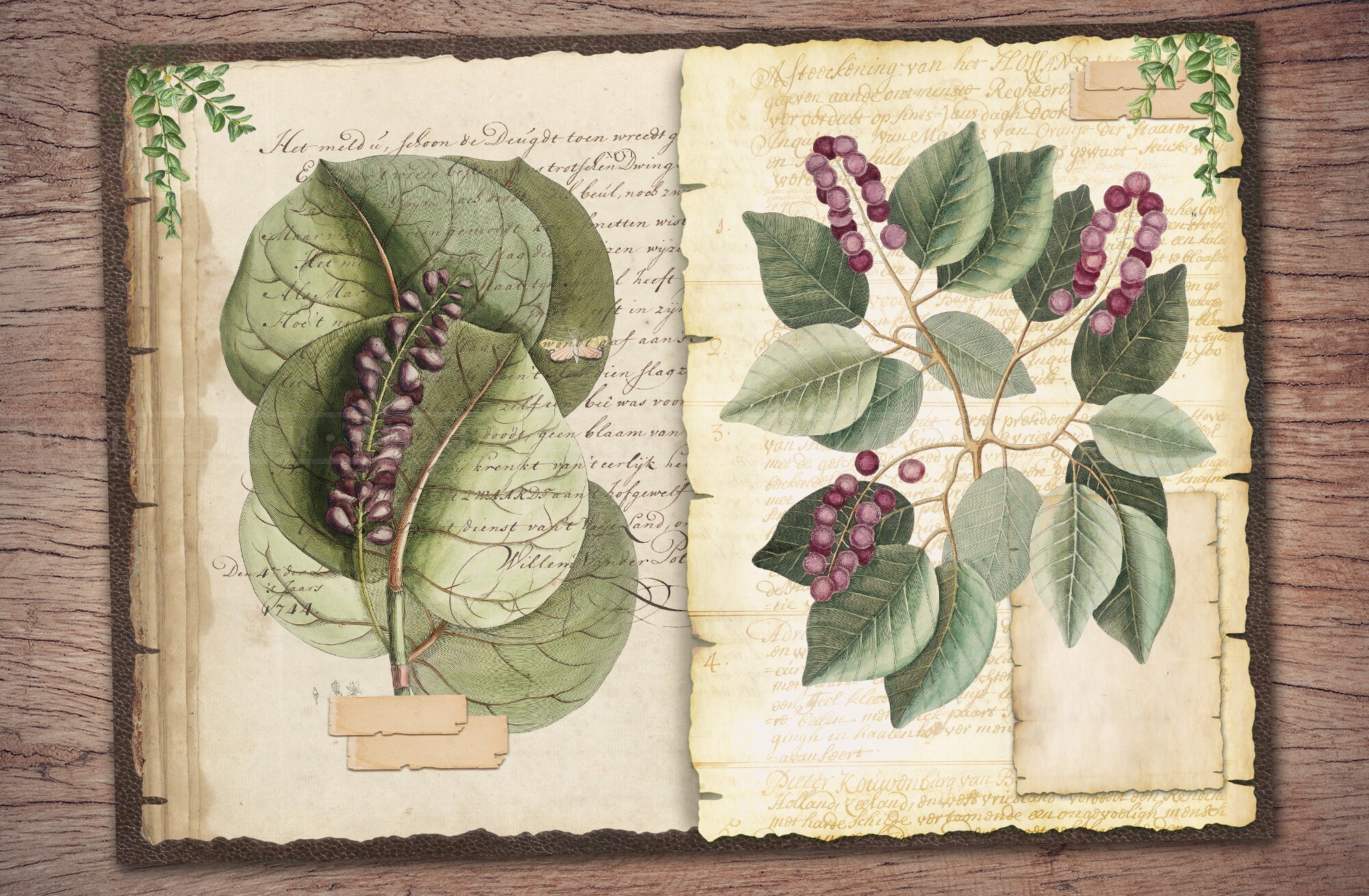 Botanical Junk Journal Kit (printable JPG Pages With Ephemera, Cover ...