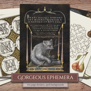 K&ouml;nnte beinhalten: Ein Satz druckbarer digitaler Papiere mit filigranen Schwarzwei&szlig;illustrationen von Buchstaben, Tieren und botanischen Elementen. Die Papiere eignen sich ideal als Seitenspalter oder Hintergrund f&uuml;r Zauberformeln.