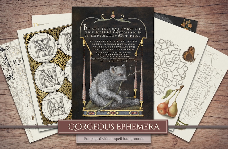 K&ouml;nnte beinhalten: Ein Satz druckbarer digitaler Papiere mit filigranen Schwarzwei&szlig;illustrationen von Buchstaben, Tieren und botanischen Elementen. Die Papiere eignen sich ideal als Seitenspalter oder Hintergrund f&uuml;r Zauberformeln.