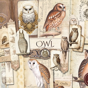 Eulen Junk Journal Kit (druckbare JPG Seiten mit Ephemera, Tags, Lesezeichen, Cover), neutrales Waldland, Vogel digitales Papier, digitaler Download