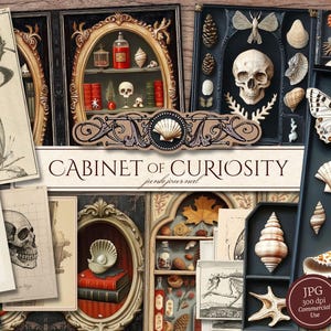 Puede incluir: Un collage de ilustraciones vintage y elementos decorativos. La imagen presenta una calavera, mariposas, conchas marinas y dibujos botánicos, con el texto "Cabinet of Curiosity" y una etiqueta "JPG 300 dpi Commercial Use".