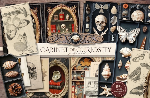 Cabinet of Curiosities Junk Journal Kit (in JPG), with Printable Pages, Cover, Ephemera, Hidden Pockets, Natural History, Digital Download