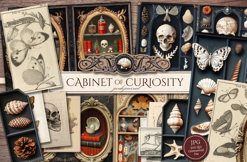 May include: A collage of vintage illustrations and decorative elements. The image features a skull, butterflies, seashells, and botanical drawings, with the text "Cabinet of Curiosity" and a "JPG 300 dpi Commercial Use" label.