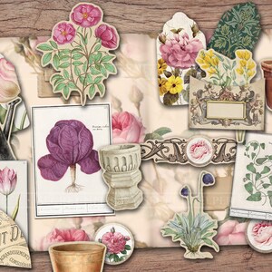 Puede incluir: Una colecci&oacute;n de ilustraciones florales vintage y ef&iacute;meras, que incluyen un calendario, una regadera, una maceta y una variedad de flores. Las im&aacute;genes est&aacute;n impresas en papel y tienen un aspecto desgastado y antiguo.