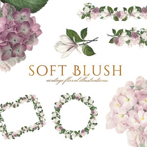 Rosa & Weiß Blumenkranz Clipart in PNG, Hortensien Blumenrahmen, Hochzeit Clipart, digitaler Download für einladen, Babyparty, kommerzielle Nutzung