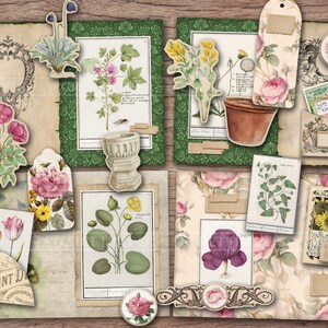Puede incluir: Una colecci&oacute;n de ilustraciones bot&aacute;nicas vintage y ef&iacute;meras con flores, plantas y texto con tem&aacute;tica de jardiner&iacute;a. Las im&aacute;genes son de estilo r&uacute;stico con colores desva&iacute;dos y un aspecto desgastado. El texto incluye "The Garden" y "De Saint D..."