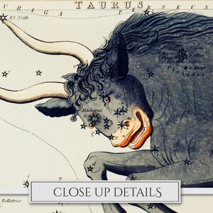 May include: A vintage illustration of the constellation Taurus, depicting a bull with a detailed, textured, blue-grey body and orange horns. The constellation is labeled with the name "Taurus" and the star "Aldebaran" is highlighted.