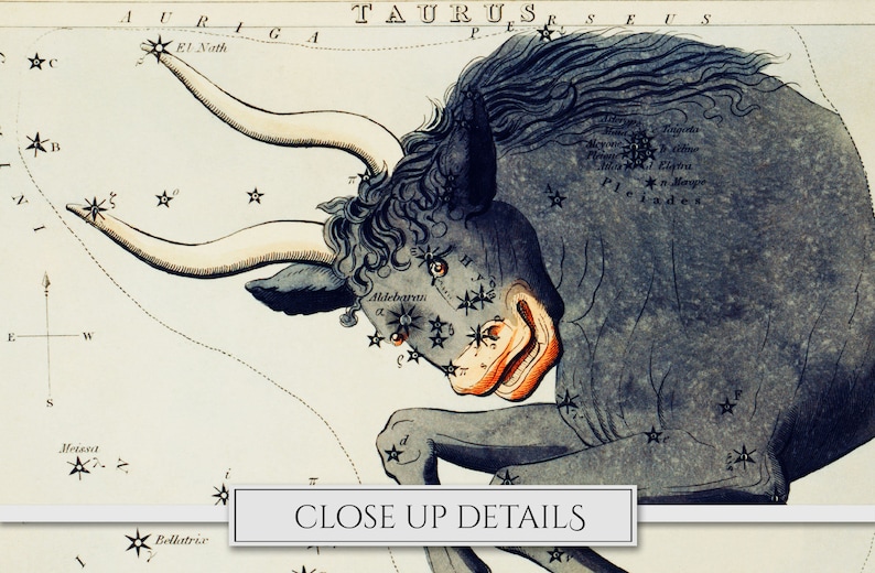 May include: A vintage illustration of the constellation Taurus, depicting a bull with a detailed, textured, blue-grey body and orange horns. The constellation is labeled with the name "Taurus" and the star "Aldebaran" is highlighted.