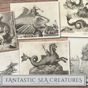 May include: A collection of vintage illustrations depicting fantastical sea creatures. The images feature a variety of creatures, including a large fish with a human riding on its back, a sea serpent with a horse's head, and a creature with a human head and a fish tail.