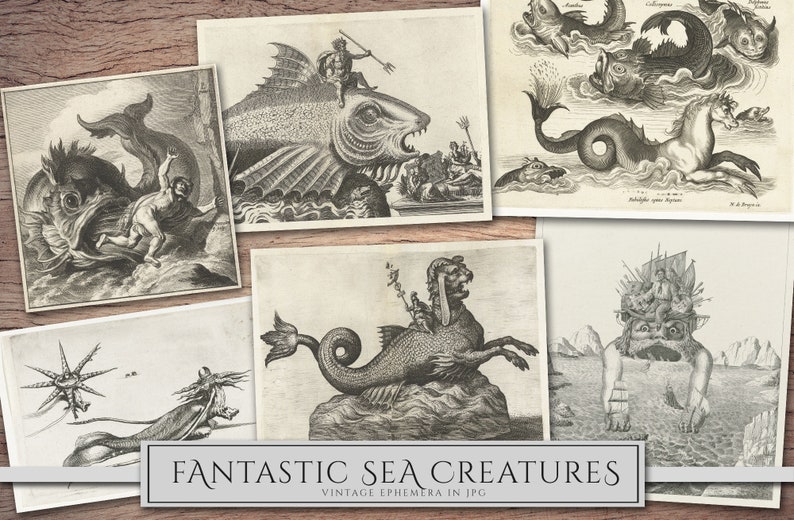 May include: A collection of vintage illustrations depicting fantastical sea creatures. The images feature a variety of creatures, including a large fish with a human riding on its back, a sea serpent with a horse's head, and a creature with a human head and a fish tail.