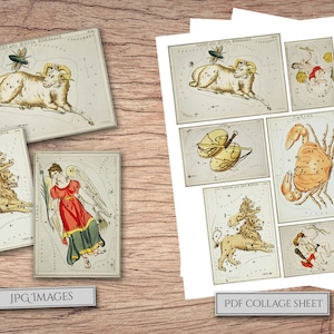 May include: A printable PDF collage sheet featuring vintage illustrations of constellations. The sheet includes images of Aries, Gemini, Cancer, Leo, Virgo, and Sagittarius.