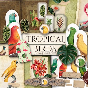 Kit de diario basura de aves tropicales (páginas JPG imprimibles con efímera, portada, etiquetas), loro, flamenco, papel digital de verano, descarga digital