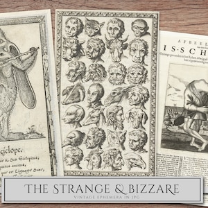 May include: A vintage illustration of a cyclops with a single eye and large ears playing a flute. The image is from a book titled "Le ciclope." The text below the image reads "Be Potipater et Sch Gictopient, fens manting peesce anciones Ond Die bure que er Lignage Quad, cey dil."