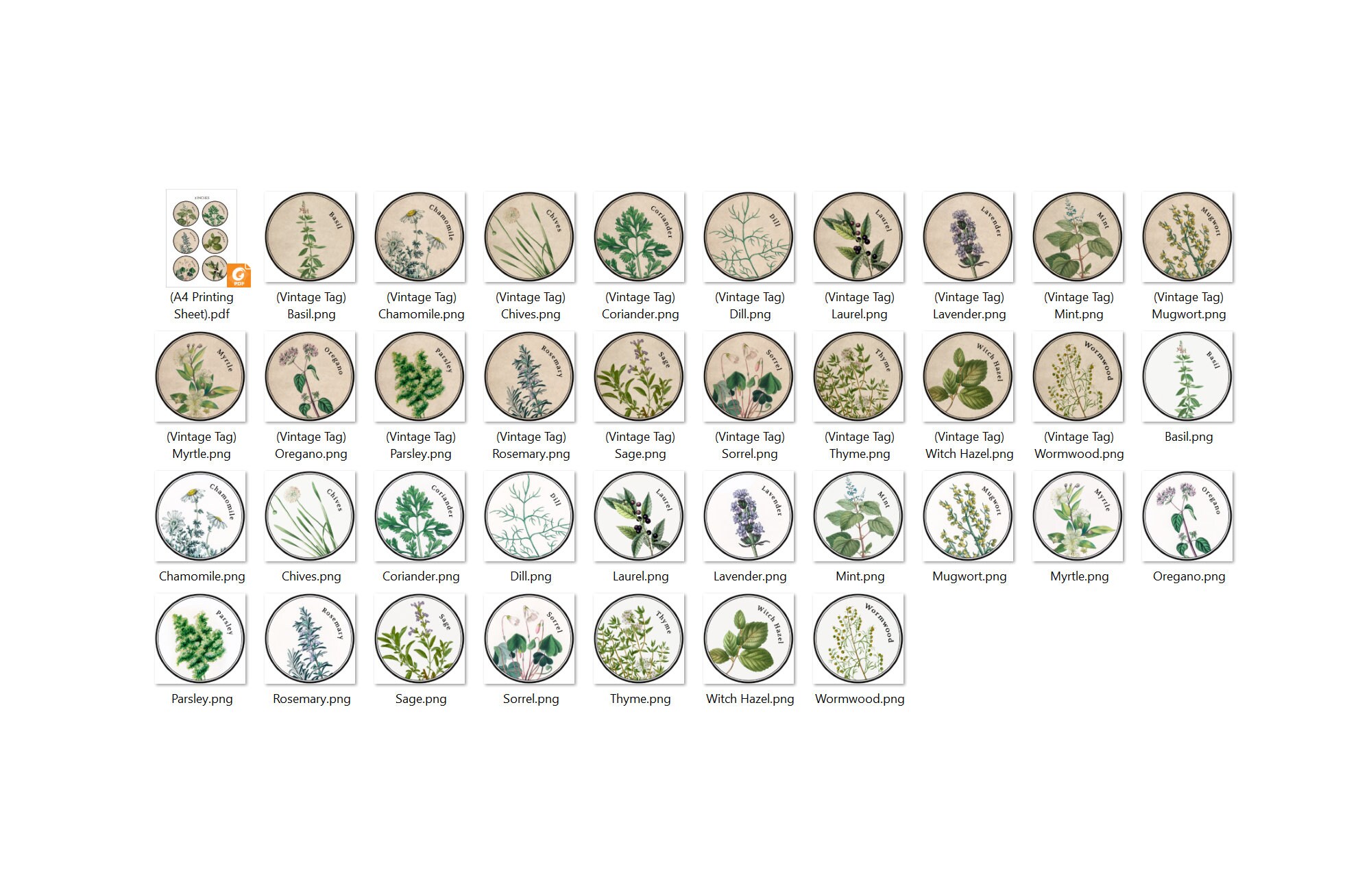 Printable Herb Labels PNG &amp; PDF Sheets Green Witch - Etsy