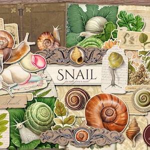 Snail Junk Journal Kit (Printable JPG Pages with Ephemera, Tags, Fussy Cuts), Nature Shells, Leaf, Garden Digital Paper, Digital Download