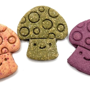 Smiling Toadstool Dog Cookies: Apple Ginger, Pumpkin Seed, Sweet Potato