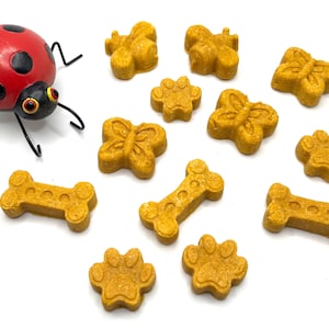 May include: A red ladybug with black spots sits next to a variety of dog treats. The treats are shaped like bones, paw prints, butterflies, and bees. The treats are a light yellow color.