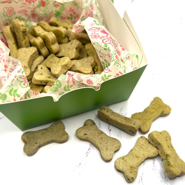 Veggie Dog Treat, Crunchy Puppy Snack, Fresh Baked Biscuit, Tiny Organic Cookies, Healthy Green Bones