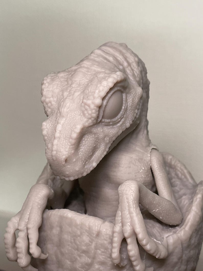Raptor Hatchling Kit 1:1 by Rod's Random Works - Etsy