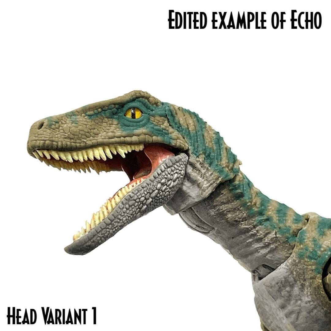 Hc Raptor HC Raptor Squad Blue/echo Upgrade Kit by Marco Makes - Etsy Australia