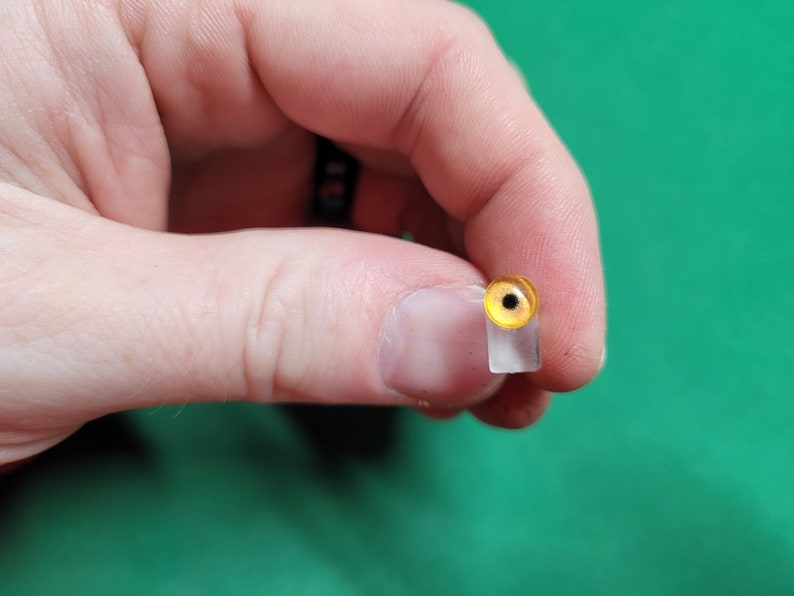 May include: A close-up of a yellow and black glass eye, mounted on a clear plastic base. The eye is used for taxidermy or craft projects.
