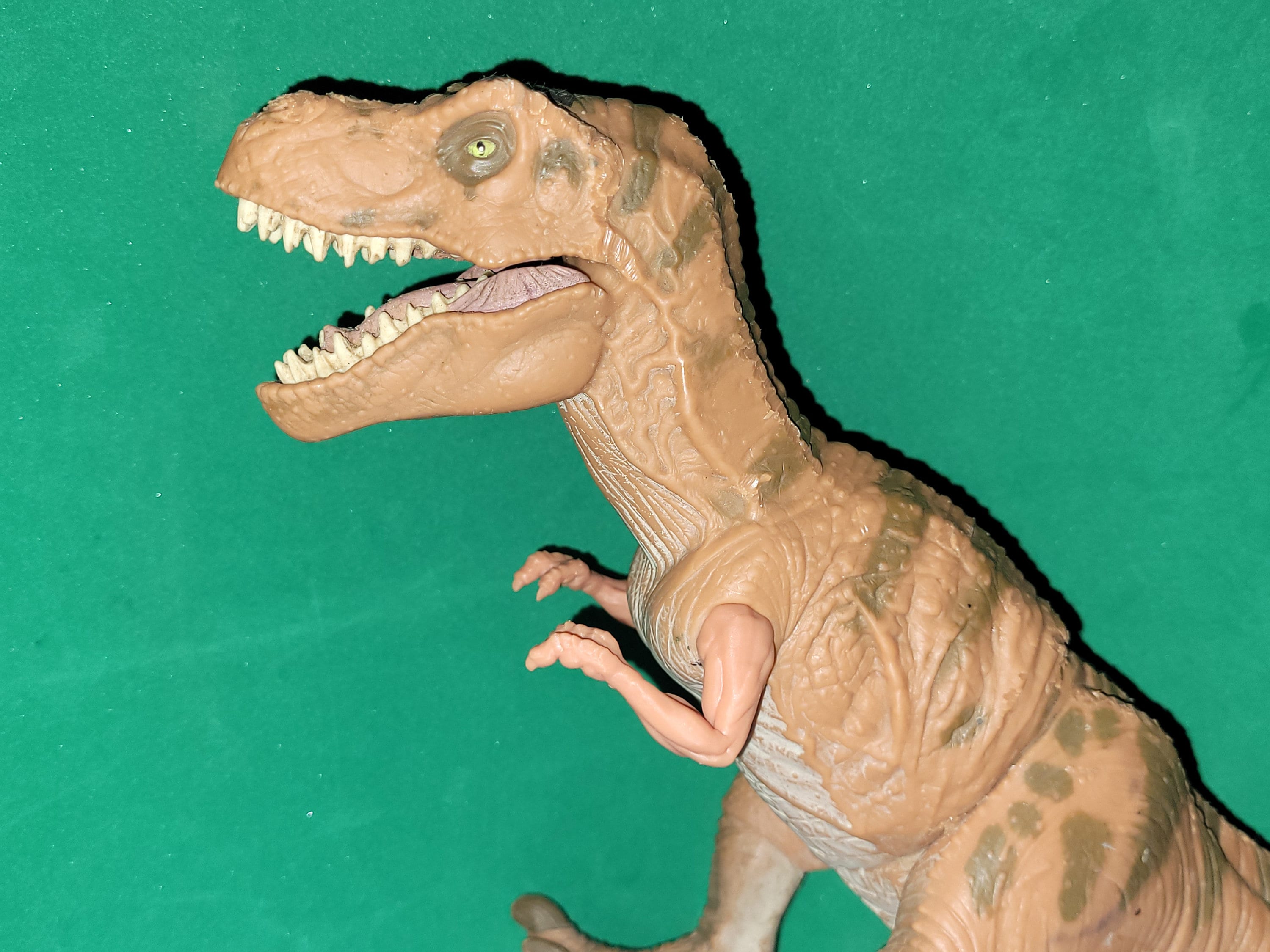 Rod's Random Works Curled Young Rex Arms - Etsy
