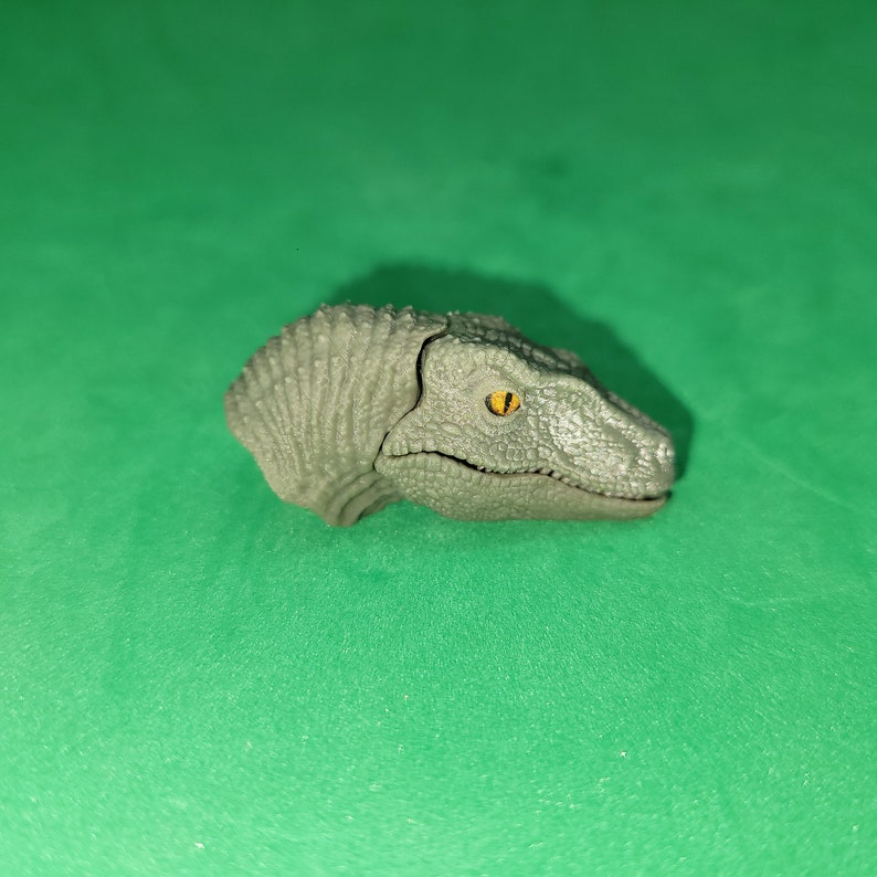 Hc Raptor HC Raptor Squad Charlie/delta Upgrade Kit by Marco Makes - Etsy
