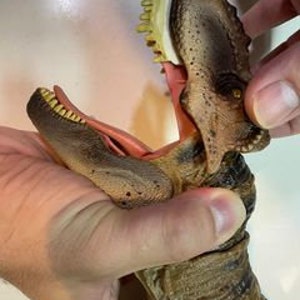 May include: Close-up of a brown and tan dinosaur toy with a large open mouth, revealing rows of white teeth. The toy's jaw is hinged and can be moved.