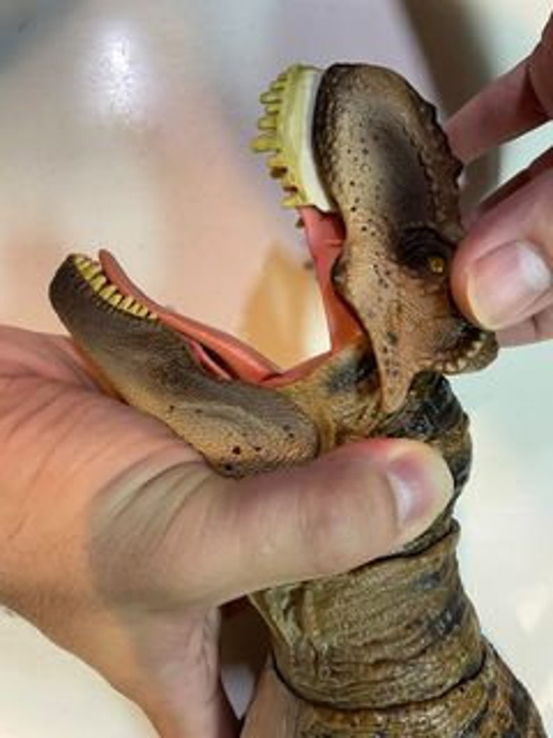 May include: Close-up of a brown and tan dinosaur toy with a large open mouth, revealing rows of white teeth. The toy's jaw is hinged and can be moved.