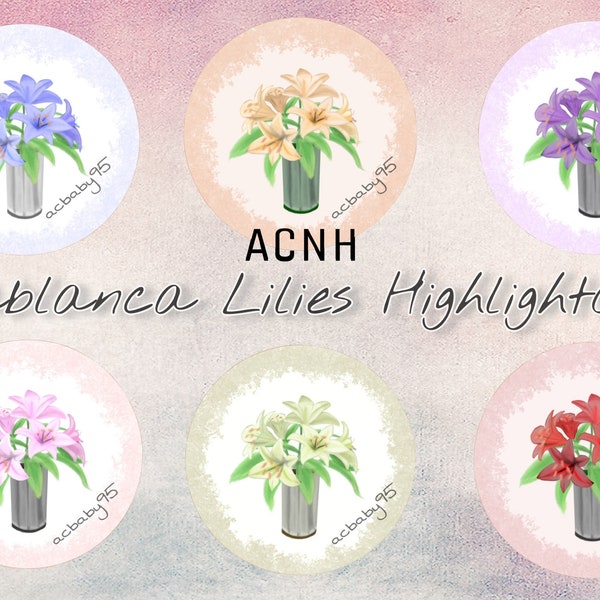 Casablanca Lilies Etsy