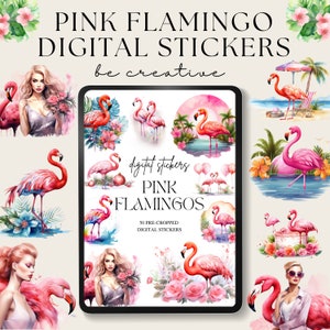 Pink Flamingo Digital Planner Stickers, Goodnotes Bird Stickers, Tropical Ipad Stickers, Flamingos Lover Pngs, Instant Download, Scrapbook