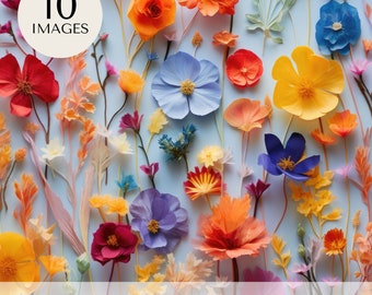 Floral Stock Photography, Flower Imagery Bundle, Pressed Flowers Photos, Flatlay Digital Downloads, Garden Pics, Blogger Photos Flowery