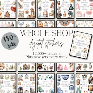 Whole Shop Digital Stickers, Goodnotes Pre-Cropped Stickers, Notability Scrapbooking Embellishments, Everyday PNGs, Entire Shop Bundle Pass