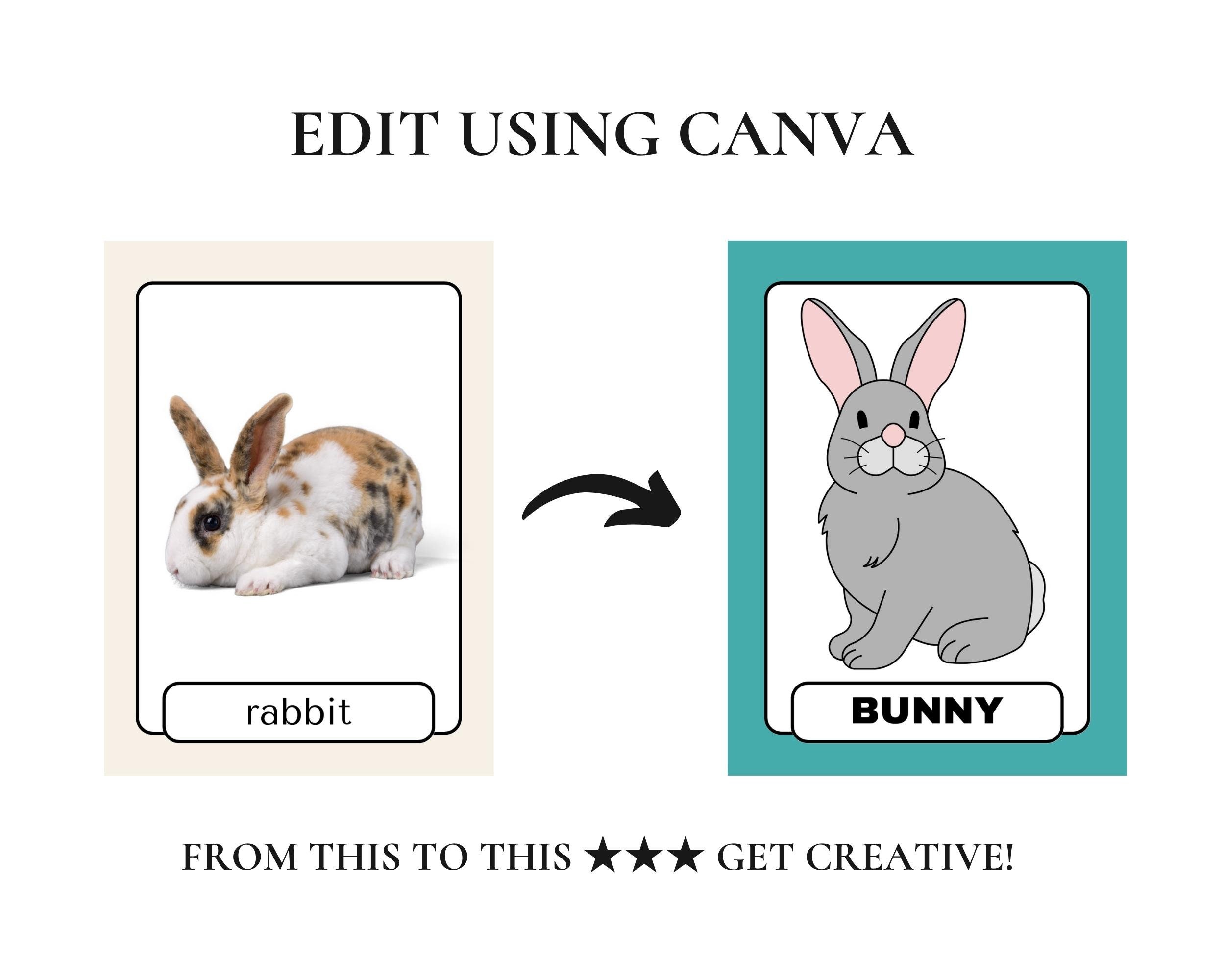 Educational Printable Cards Montessori Cards Homeschool - Etsy