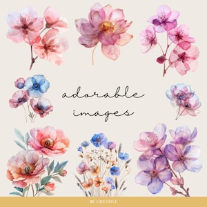 May include: A collection of watercolor illustrations featuring delicate pink and purple flowers. The flowers are arranged in a variety of poses, with some blooming fully and others in bud. The illustrations are perfect for adding a touch of elegance and beauty to any project.