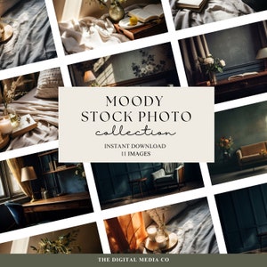 Styled Stock Photography | Dark and Moody Stock Photos | Organic Home Images | Artistic Wall Art | Digital Downloads | Fine Art Printable