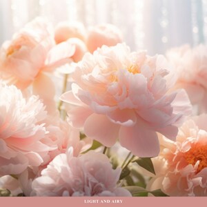 May include: A bouquet of soft pink peonies with delicate petals, arranged in a vase. The flowers are illuminated by a soft, natural light, creating a light and airy feel.