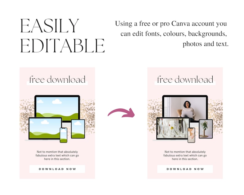 May include: A pink and gold graphic with the text "free download" and a mockup of a laptop, tablet, and phone displaying a landscape image. The text "Not to mention that absolutely fabulous extra text which can go here in this section." is below the mockups. The text "DOWNLOAD NOW" is at the bottom of the graphic.