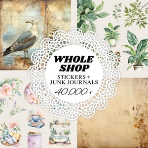 May include: A collage of digital paper backgrounds with a white doily overlay. The doily has text that reads "Whole Shop Stickers + Junk Journals 40,000+". The collage includes images of a seagull, plants, and a bathroom scene.