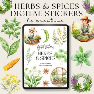 Könnte beinhalten: Ein Set digitaler Sticker mit 49 vorgefertigten Aquarell-Illustrationen von Kräutern und Gewürzen. Die Sticker beinhalten eine Vielzahl von Kräutern und Gewürzen, wie Basilikum, Rosmarin, Thymian, Oregano, Petersilie, Koriander, Minze, Schnittlauch, Dill, Salbei, Estragon, Lavendel und mehr. Die Sticker sind perfekt, um Ihren digitalen Projekten einen Hauch von Natur zu verleihen.