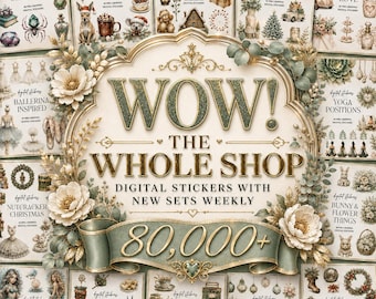 Whole Shop Digital Stickers, Goodnotes Pre-Cropped Stickers, Notability Scrapbooking Embellishments, Everyday PNGs, Entire Shop Bundle Pass